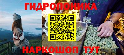 2c-b Кулебаки