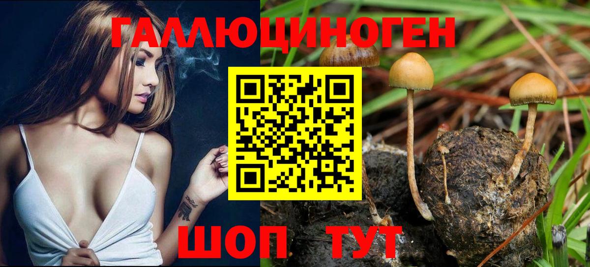 Псилоцибиновые грибы мицелий  Псилоцибиновые грибы Psilocybine cubensis  сколько стоит  Волгодонск  Вход с VPN 